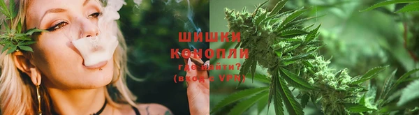 ешки Вяземский