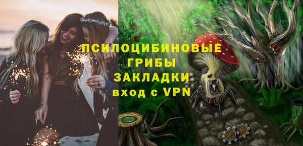 ешки Вяземский