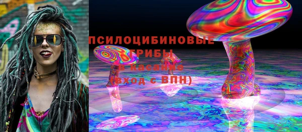 ешки Вяземский
