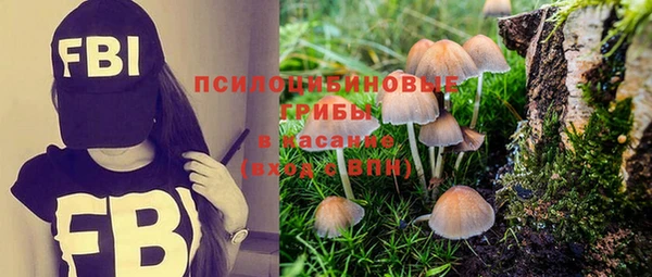 гидропоника Волоколамск