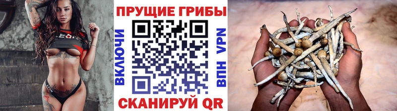 Псилоцибиновые грибы прущие грибы  Купить где  Оса 